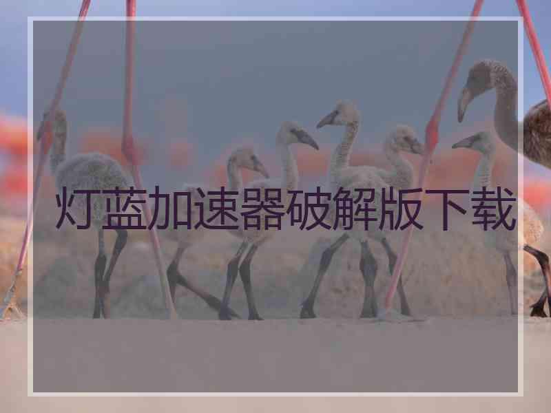 灯蓝加速器破解版下载