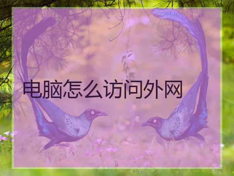 电脑怎么访问外网