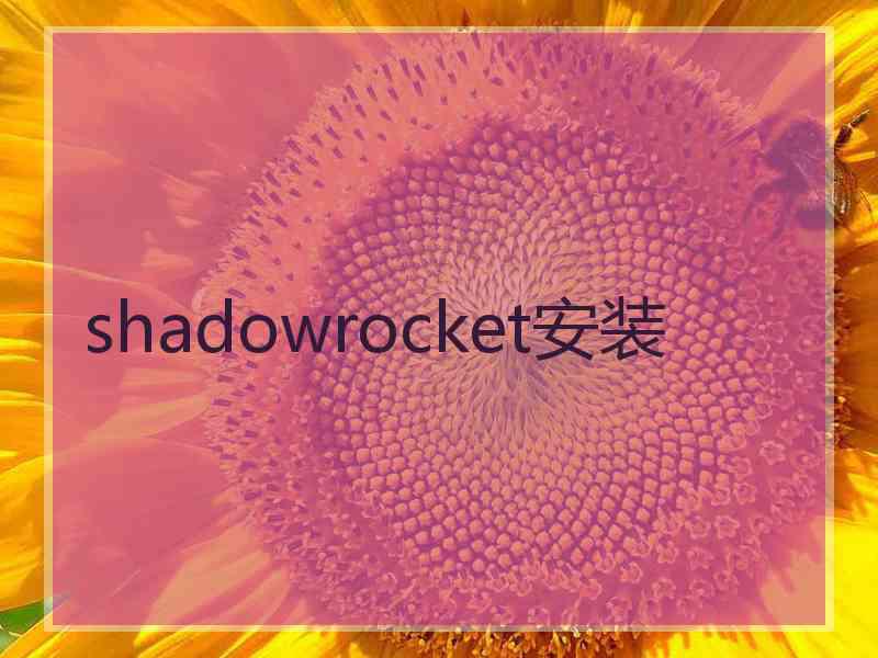 shadowrocket安装