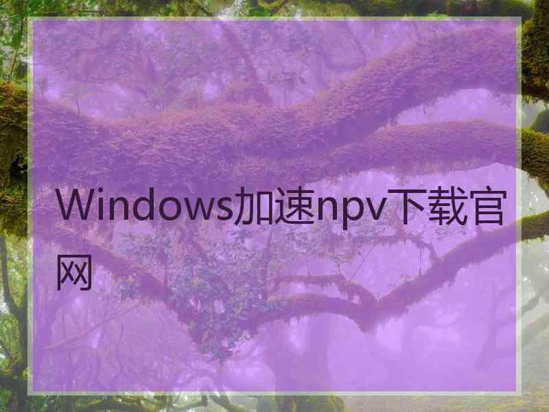 Windows加速npv下载官网