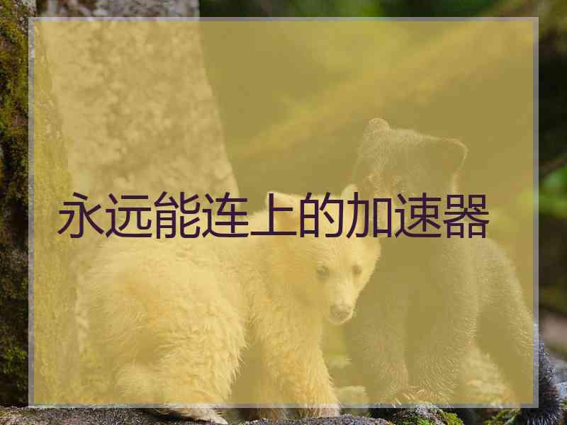 永远能连上的加速器