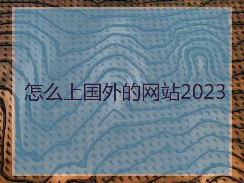 怎么上国外的网站2023