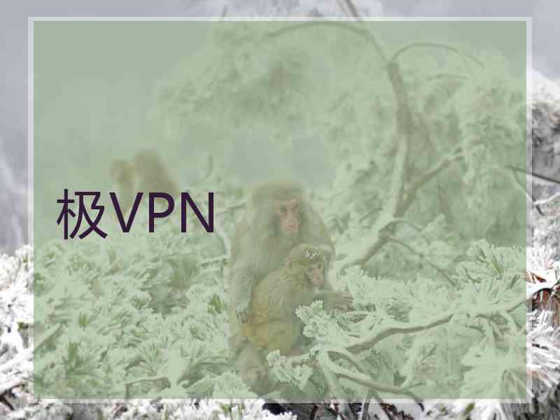 极VPN