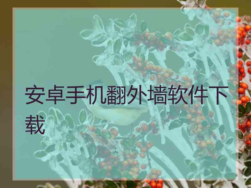 安卓手机翻外墙软件下载