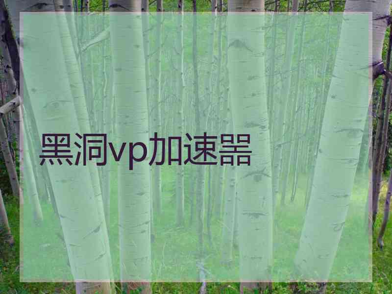 黑洞vp加速噐