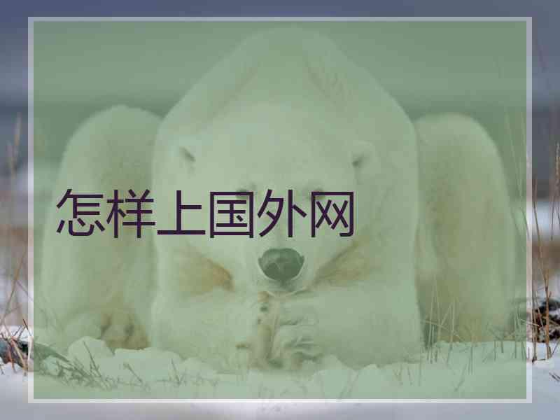 怎样上国外网