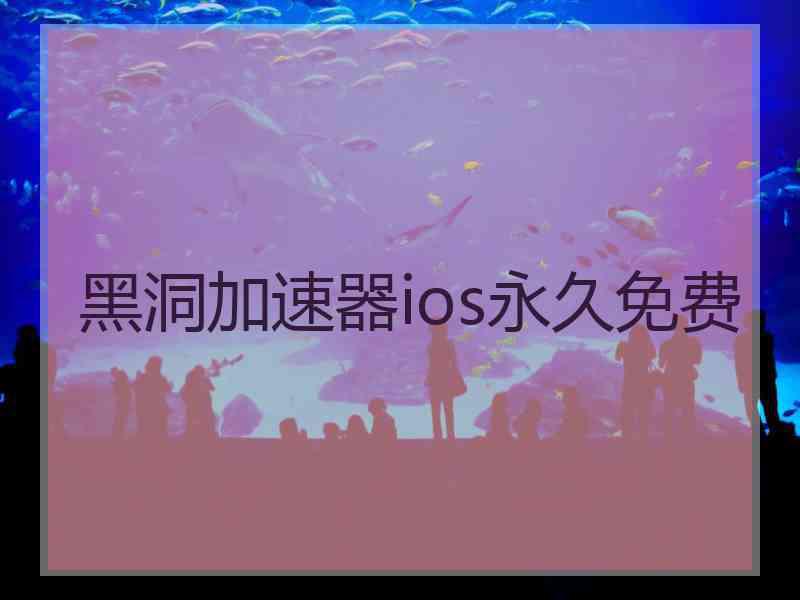 黑洞加速器ios永久免费