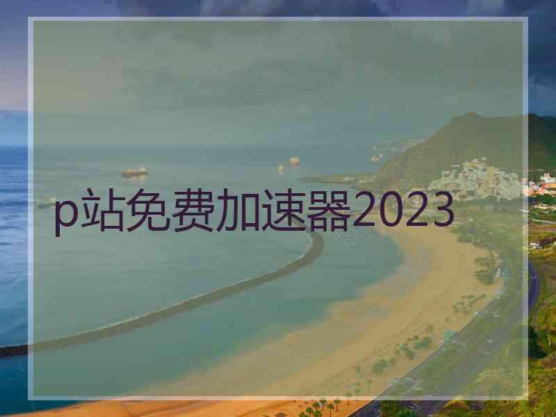 p站免费加速器2023