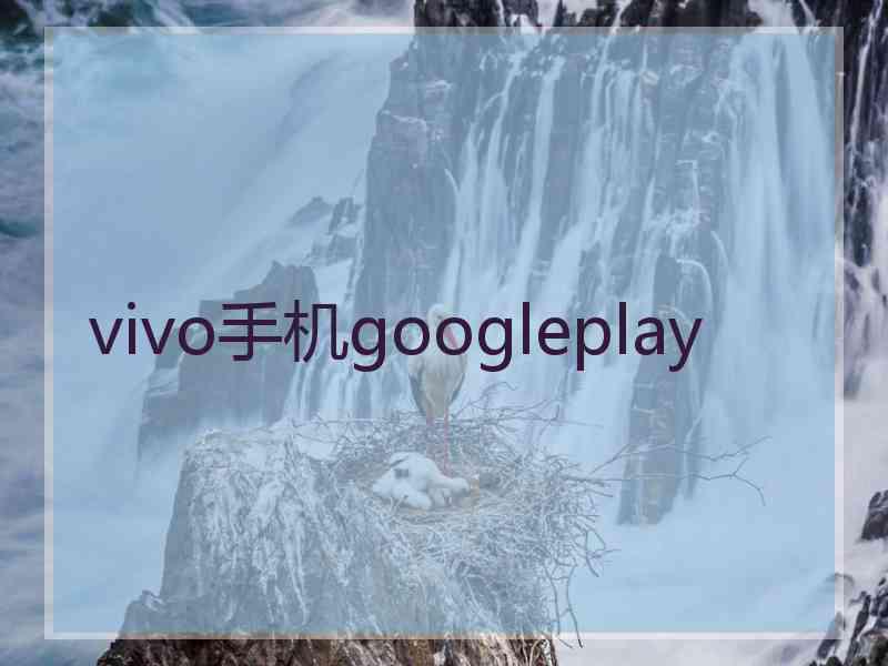 vivo手机googleplay