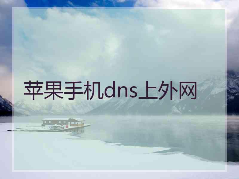 苹果手机dns上外网