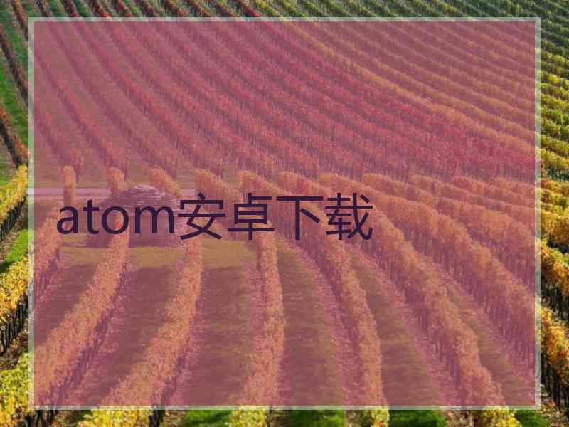 atom安卓下载