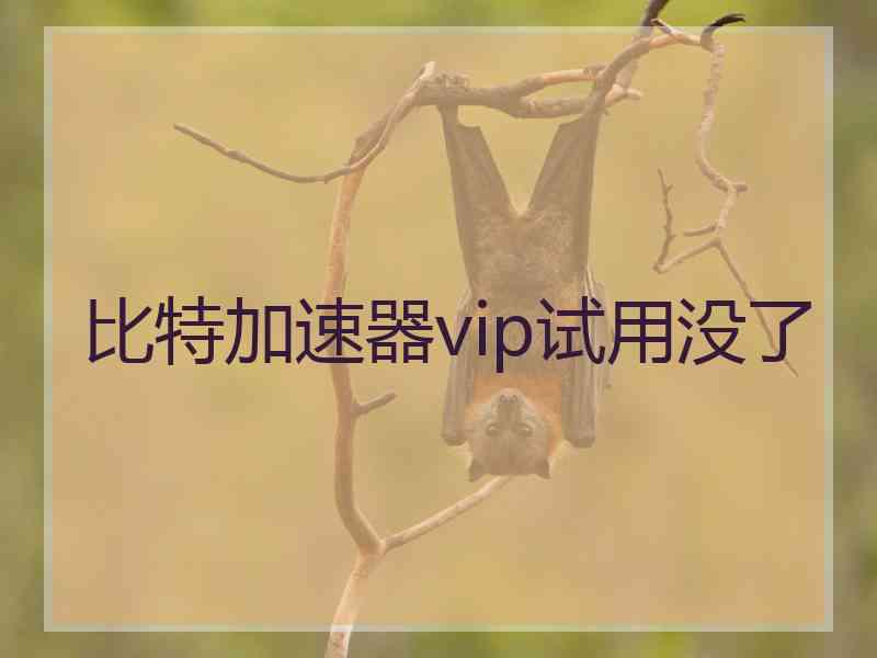 比特加速器vip试用没了