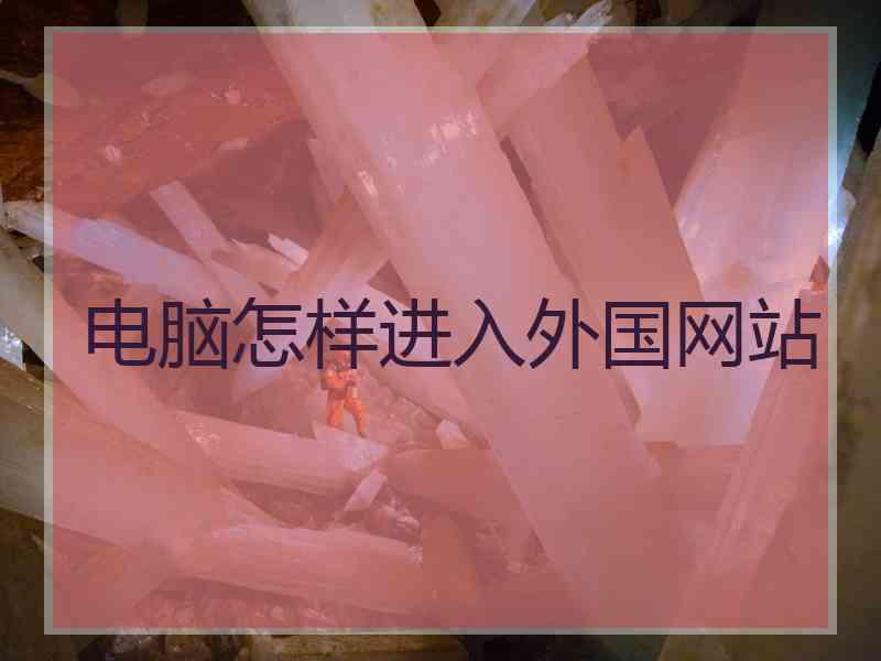 电脑怎样进入外国网站