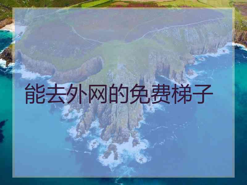 能去外网的免费梯子