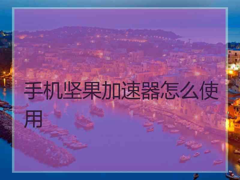 手机坚果加速器怎么使用