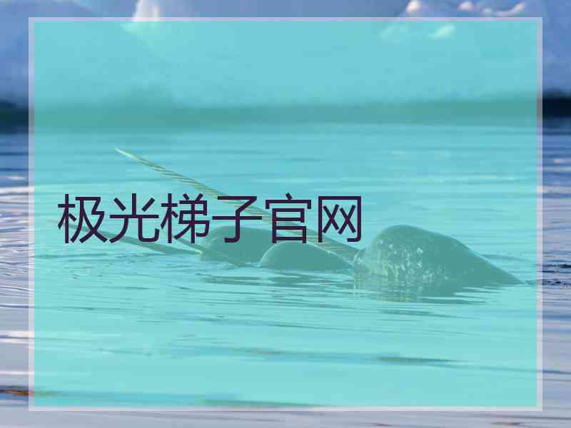 极光梯子官网