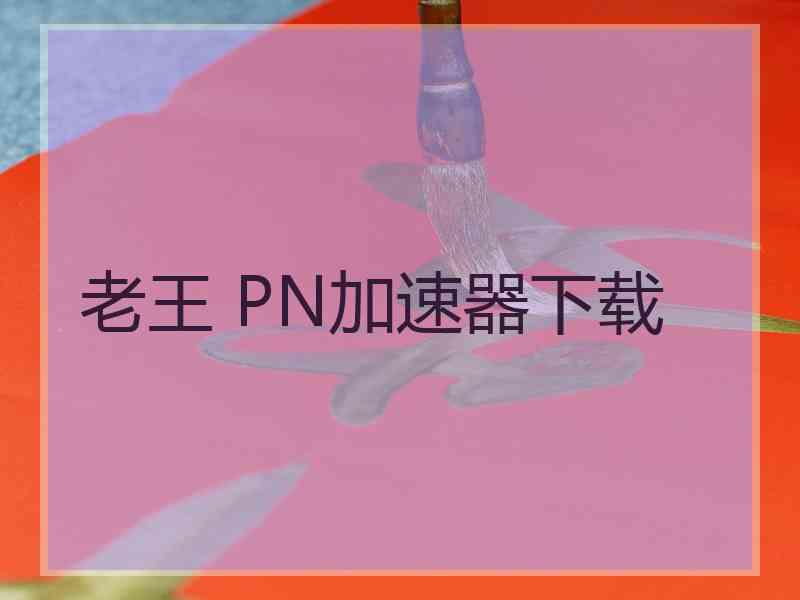 老王 PN加速器下载