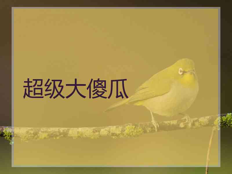 超级大傻瓜