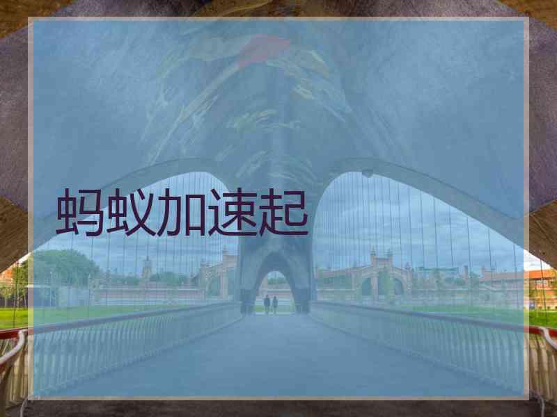 蚂蚁加速起
