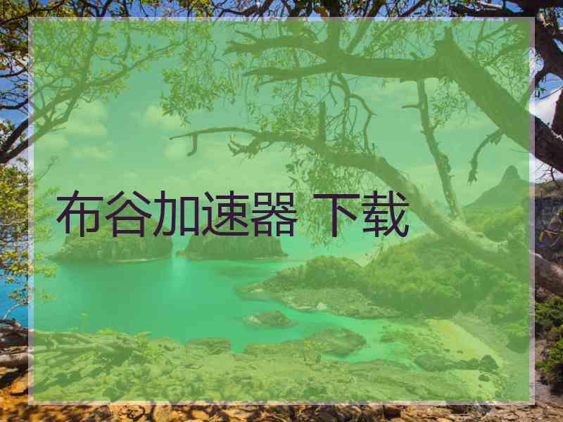 布谷加速器 下载