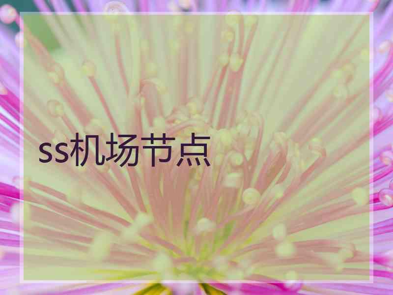 ss机场节点