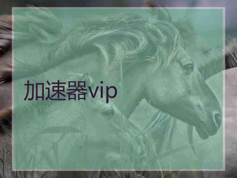 加速器vip
