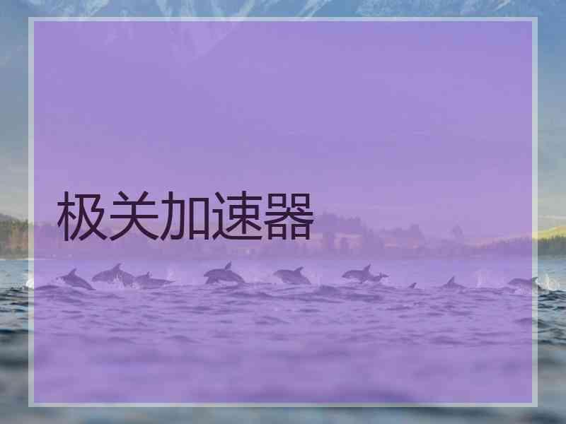 极关加速器
