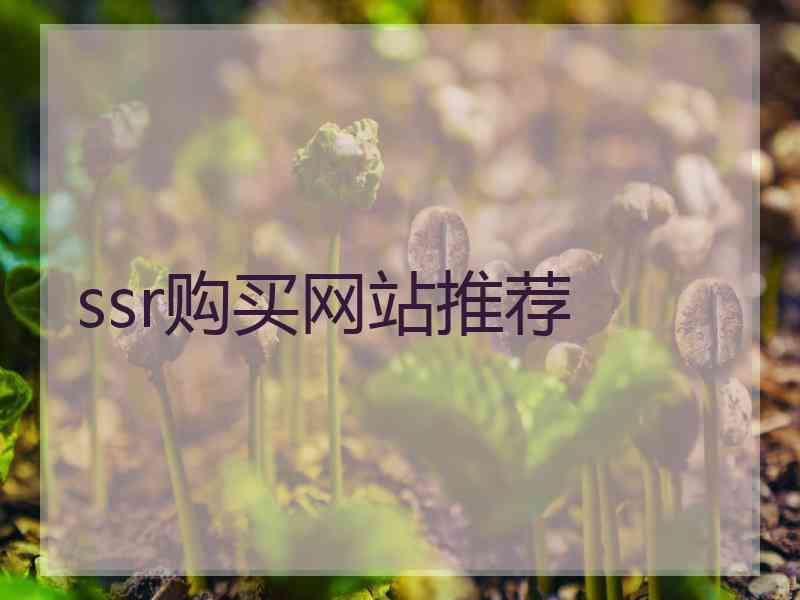 ssr购买网站推荐