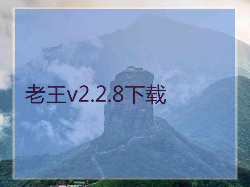 老王v2.2.8下载