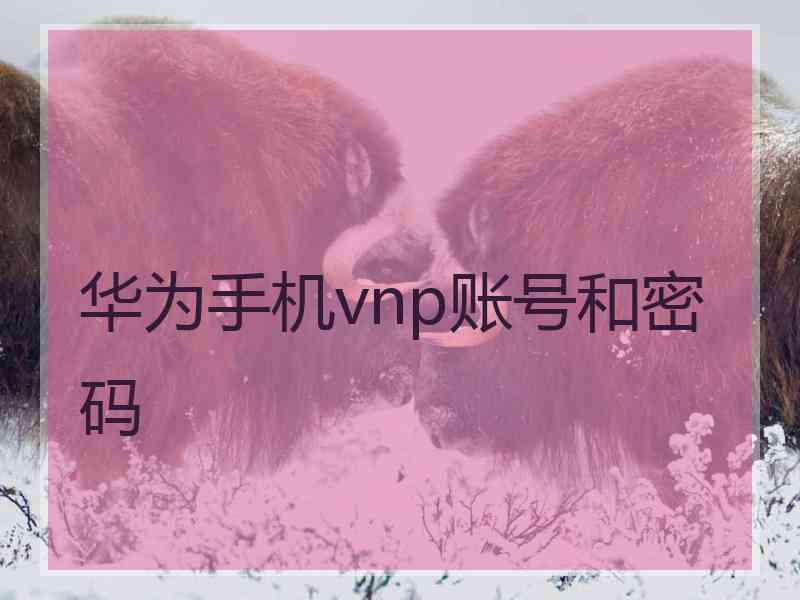 华为手机vnp账号和密码