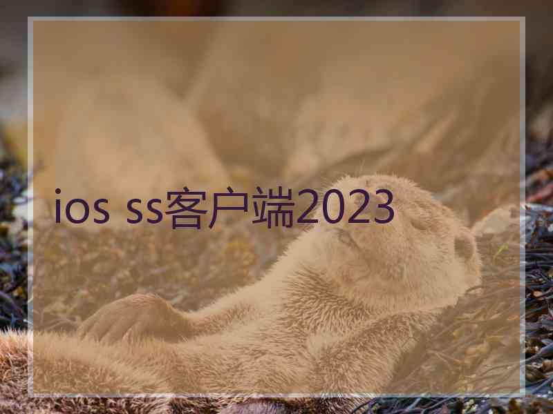 ios ss客户端2023