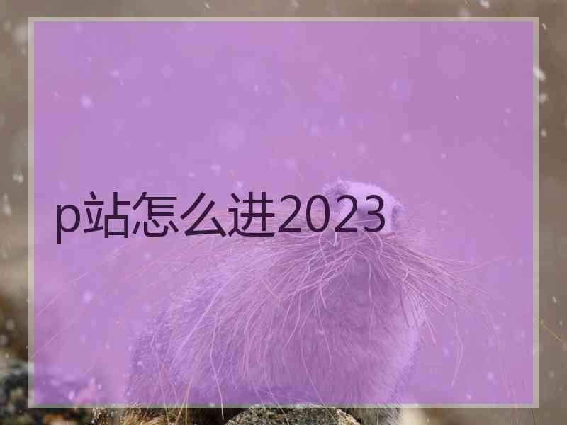 p站怎么进2023