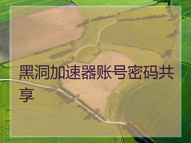 黑洞加速器账号密码共享