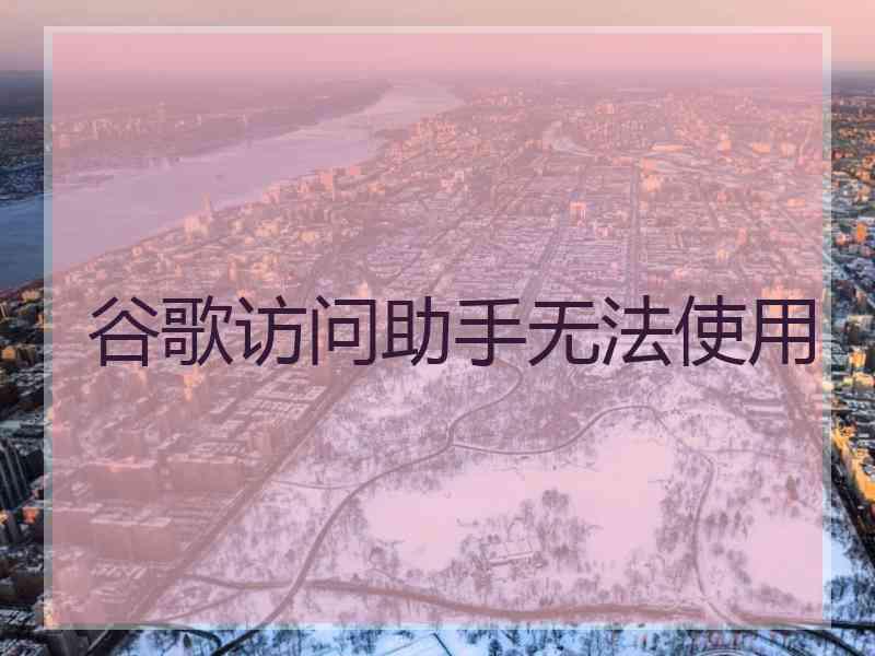 谷歌访问助手无法使用