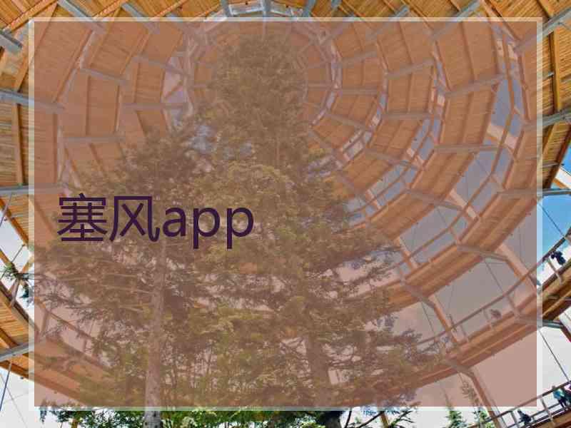 塞风app