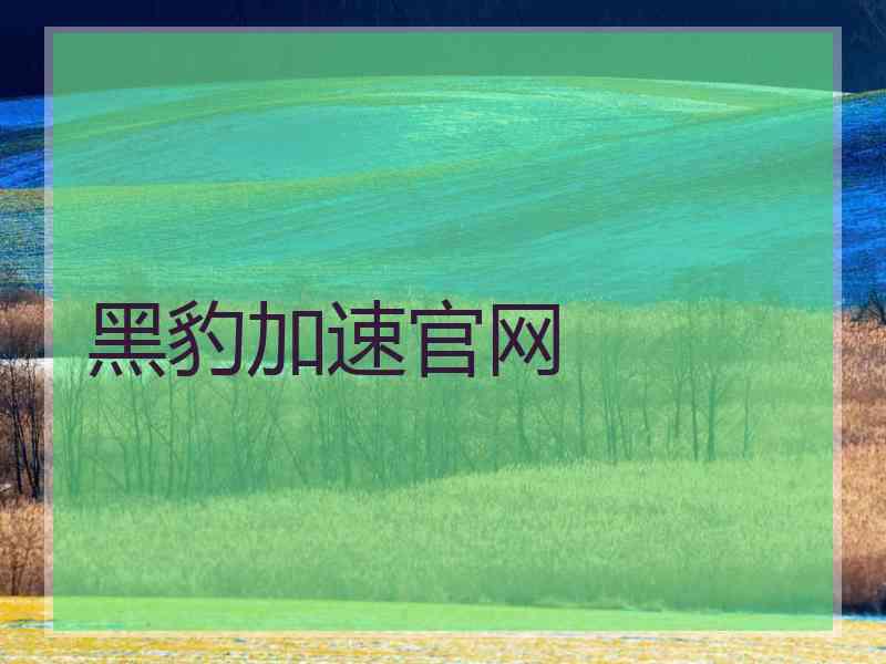 黑豹加速官网