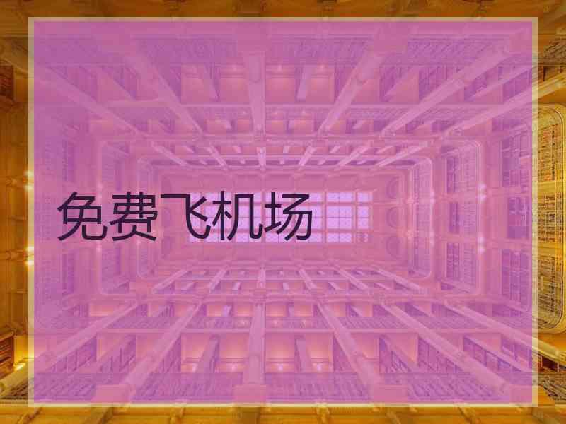 免费飞机场
