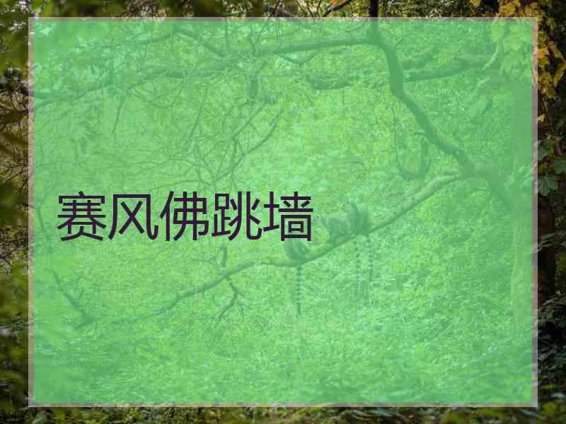 赛风佛跳墙