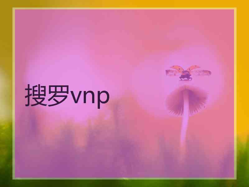搜罗vnp
