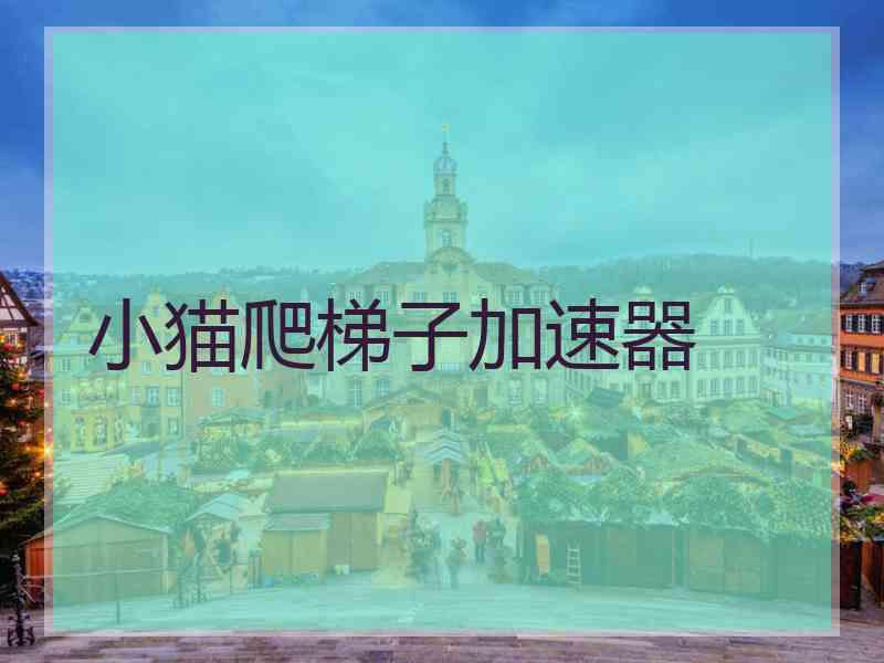 小猫爬梯子加速器