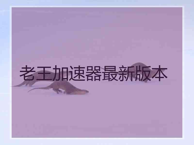老王加速器最新版本