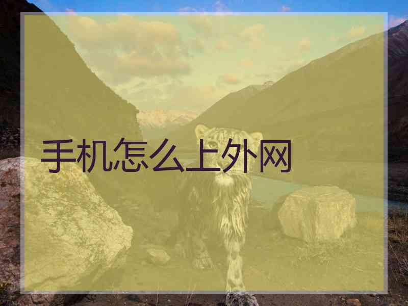 手机怎么上外网