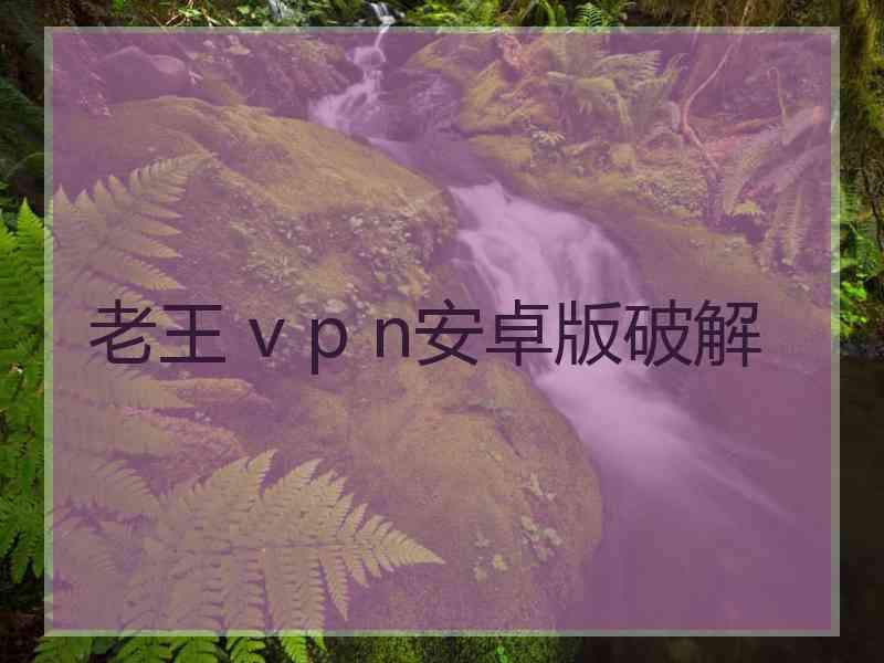 老王 v p n安卓版破解