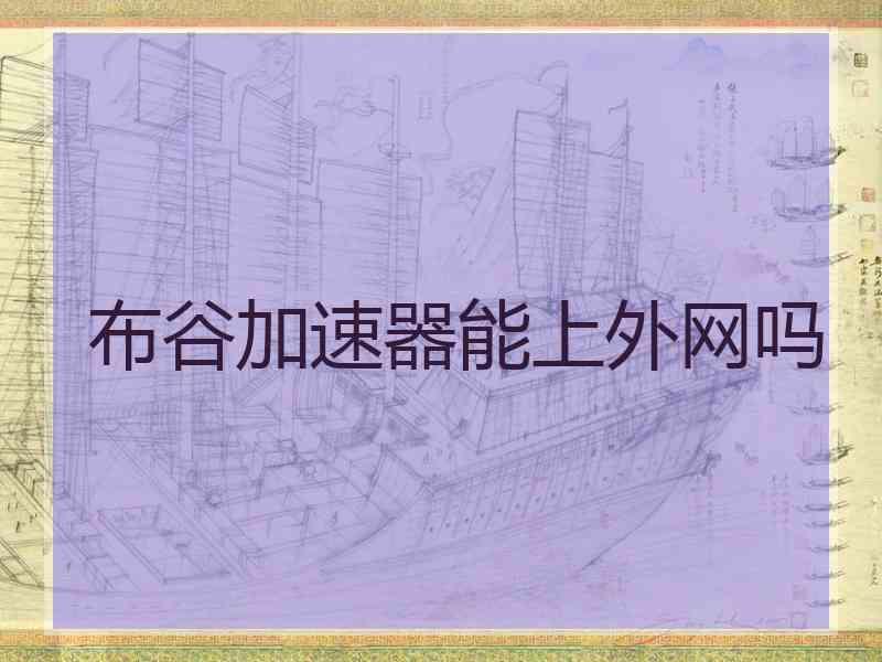 布谷加速器能上外网吗