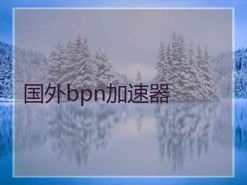国外bpn加速器