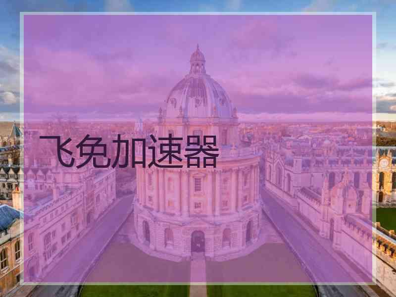 飞免加速器