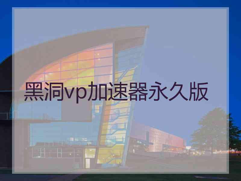 黑洞vp加速器永久版