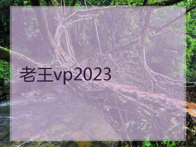 老王vp2023