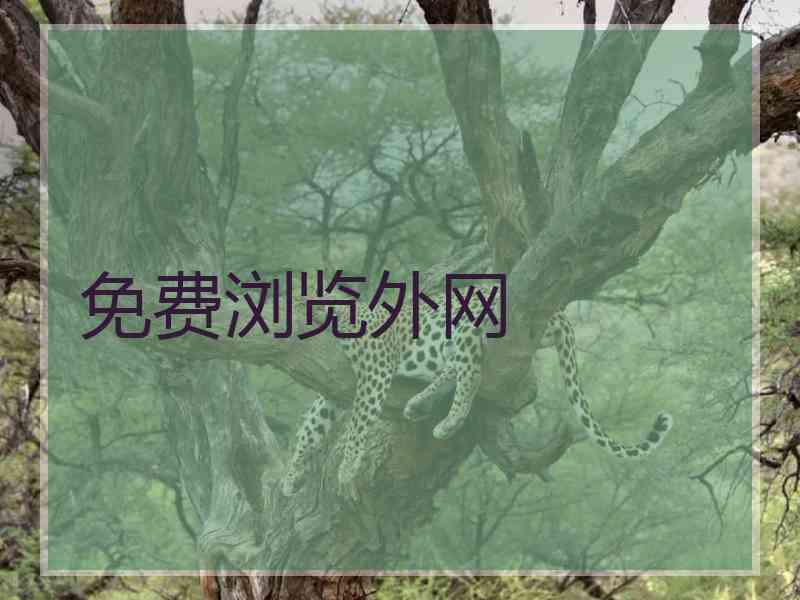 免费浏览外网