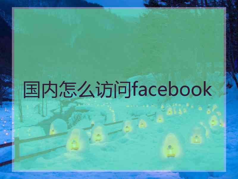 国内怎么访问facebook